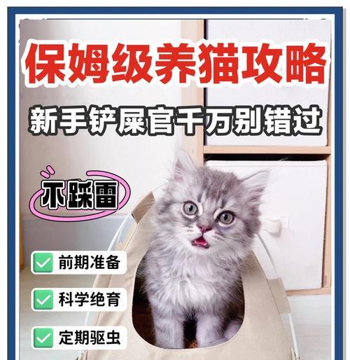 养猫必备用品大揭秘（为你的猫咪提供完美生活的必备用品推荐）