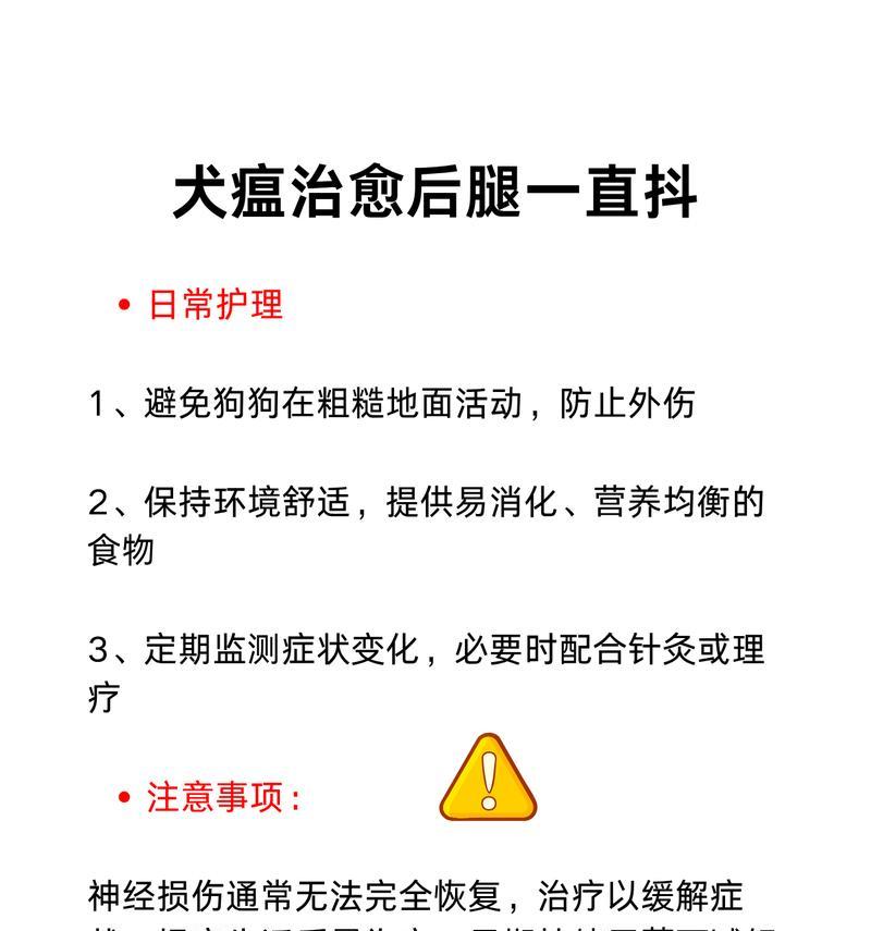 犬瘟热的治疗期长久吗？（以犬瘟热治疗为主题的关键知识点）