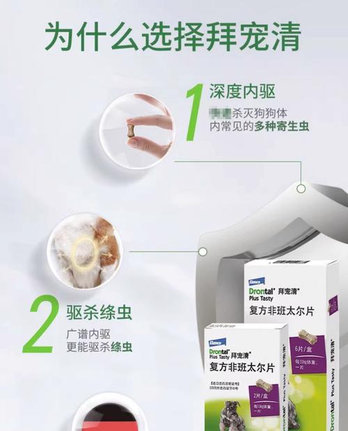 泰迪吃了蛆虫药多久有效果（揭秘泰迪吃了蛆虫药的效果以及关键影响因素）