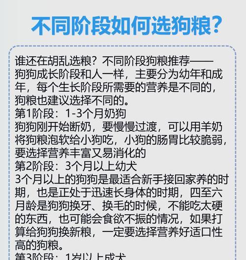 解决狗狗不喜欢吃狗粮的问题（天性还是主人惯出来的？如何改善狗狗的饮食偏好？）