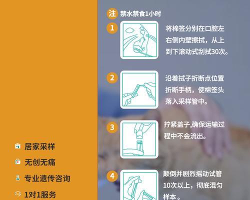 全面了解猫咪健康，给它一个完整体检（以猫全套体检有哪些检查，价格如何？）