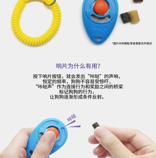 训狗指令大全——培养顺从可爱的宠物狗（掌握关键指令，让你的狗狗听话又懂事）