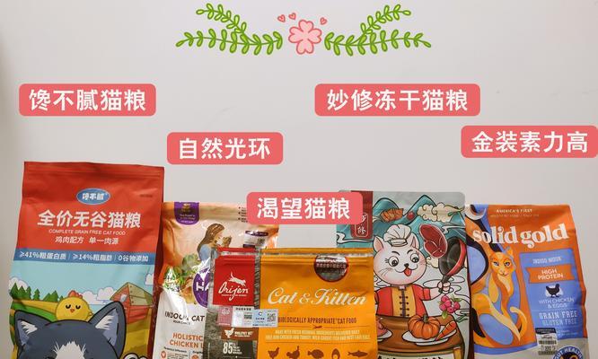 加菲猫的日常饲养护理（关注加菲猫的健康与幸福）