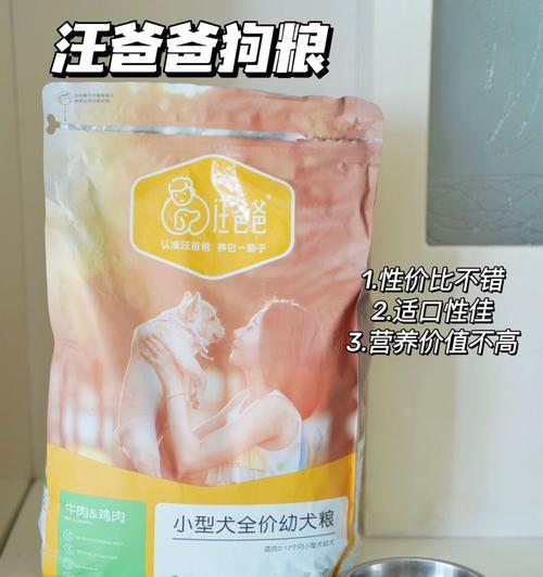 如何科学养好泰迪狗——关注泰迪狗粮与饲养技巧（泰迪狗粮价格、饲养要点与护理技巧，助你成为贴心主人）