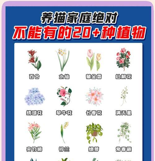 宠物猫不能接触的植物（了解你的猫咪能避免危险）