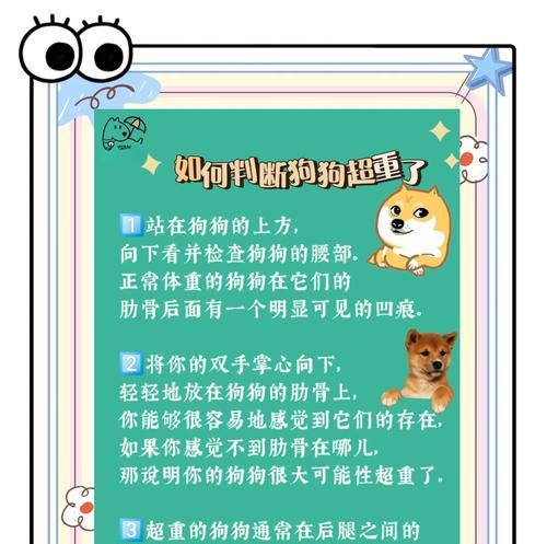 探究狗狗发胖的原因（揭秘导致狗狗体重增加的主要因素及其防治方法）
