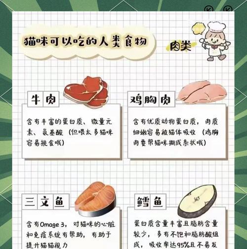 猫咪可以吃人类的食物吗？（探讨猫咪是否适合吃人类食物及其营养需求）