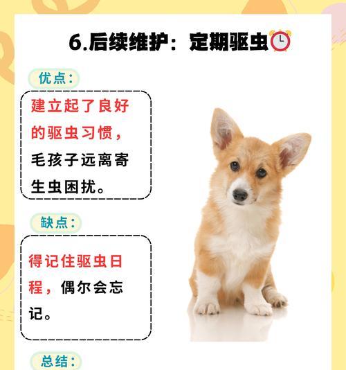 小狗用驱虫药后何时可以打疫苗？（探寻小狗用驱虫药后打疫苗的最佳时机）