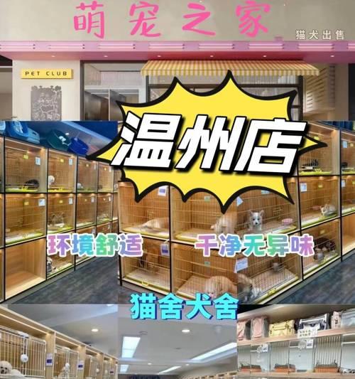 萨摩耶的饲养指南（从价格到护理，全面解读如何饲养萨摩耶）