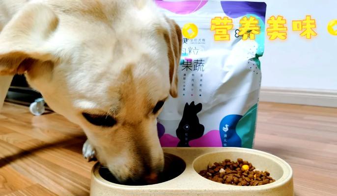 如何选择合适的狗粮喂养幼犬？（幼犬饮食需求及合理喂养方法解析）