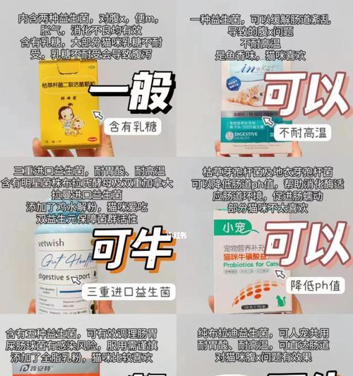 猫咪软便益生菌的持续食用时间（探讨猫咪软便益生菌的最佳食用时长）