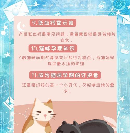 猫咪怀孕后加营养的重要性（了解猫咪怀孕后加营养的时间和方法）