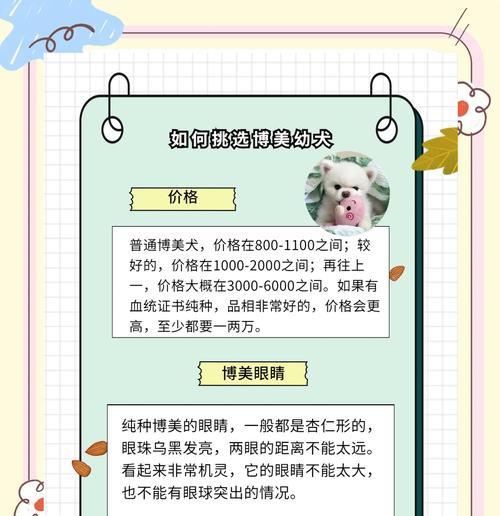 照顾生病的博美犬（博美犬生病需要注意的事项及护理要点）
