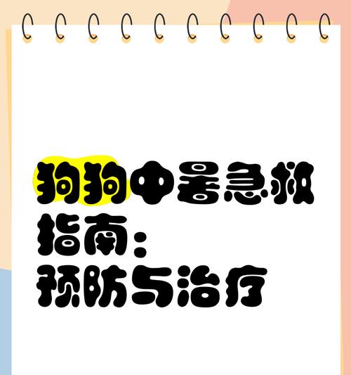 夏季高温下正确饲养柯基的关键因素（避免这些行为，保护你的柯基宠物不受高温困扰）
