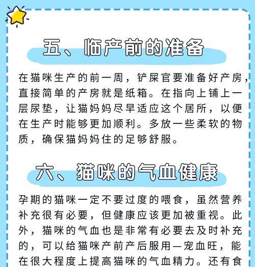 揭秘猫咪怀孕期间的身体和行为变化（了解猫咪怀孕的关键信息）