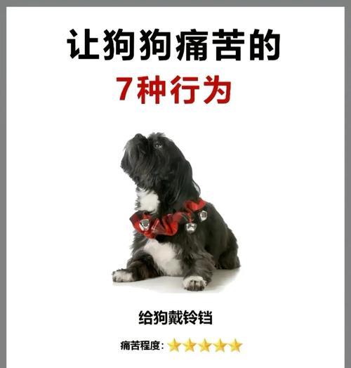 小狗打猎的时间表（从幼年到成熟，了解小狗打猎的阶段性发展）