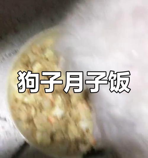 狗狗月子超强餐单！（为你的宠物提供最佳护理）