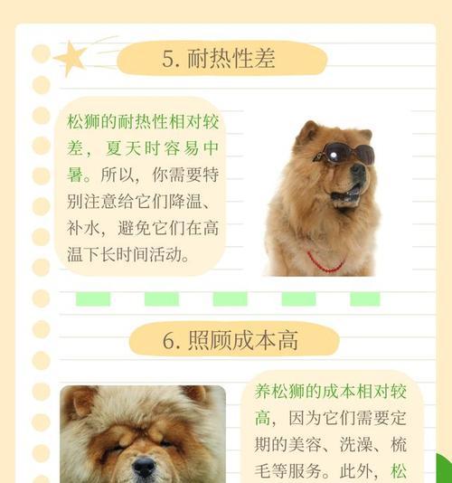 松狮幼犬的饲养方法（打造健康快乐的松狮幼犬生活）