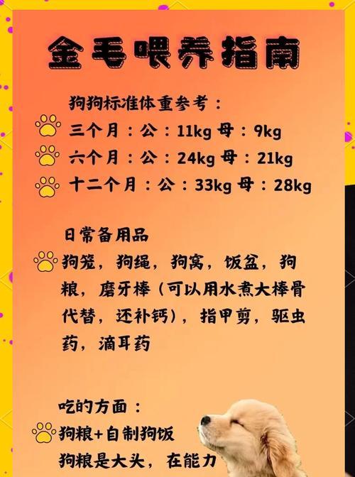 金毛犬的健康休息时间分配（金毛犬每天的休息需求及重要性）