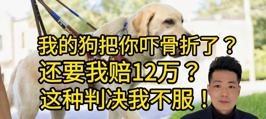 狗狗摔倒腿了，多久能好？（探究狗狗摔倒腿后康复的时间与方法）