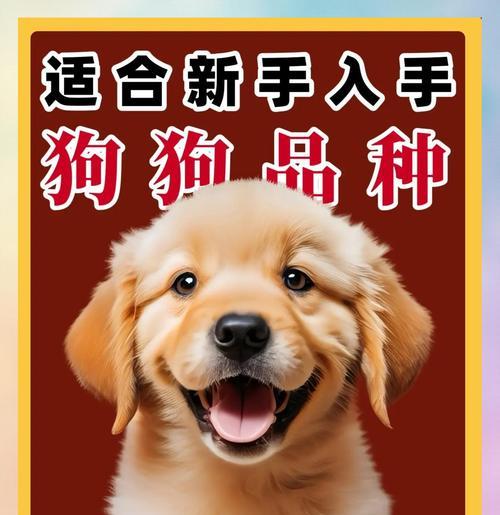养狗的经济成本究竟有多高？（每月养狗花费，是你的工资的重担吗？）