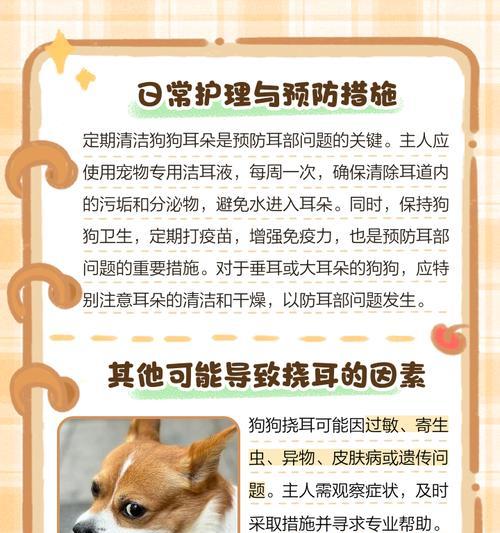 如何正确清理狗狗耳朵毛（清理狗狗耳朵毛的步骤和注意事项）