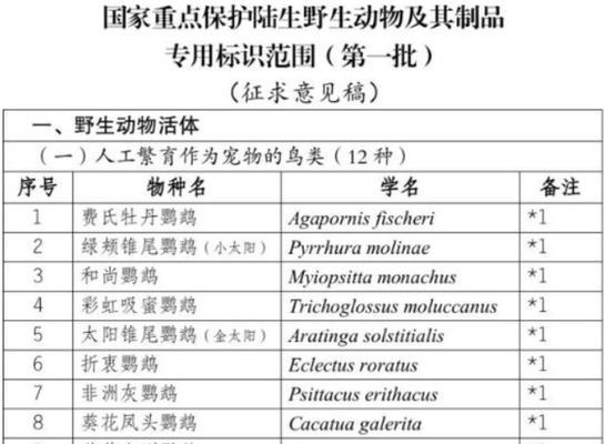 合法当宠物的鸟类及其特点（选择合适的鸟类宠物，给你带来快乐和陪伴）