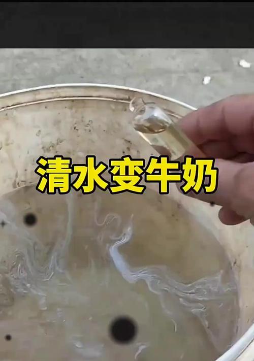 狗狗水疗的最佳时长是多久？（狗狗水疗时间安排与注意事项）