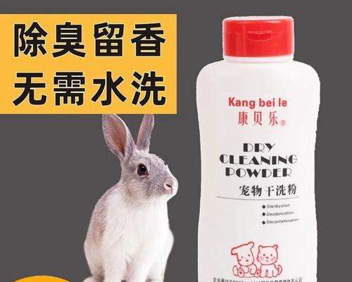 给兔兔洗澡的正确方法（干洗还是用水洗，你该怎么选择？）