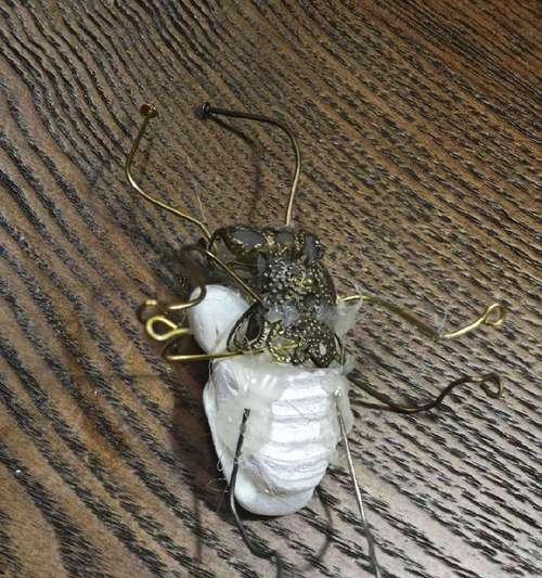 揭开狗狗肚子里的虫子之谜（狗狗肚子里的寄生虫大揭秘，你知道几种？）