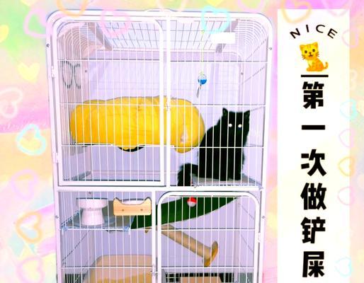 养猫一个月最少花费揭秘（以养一只猫一个月最少花多少钱？）