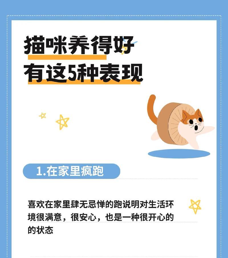猫咪身体问题的五大警示信号（如何识别猫咪身体异常症状及其原因）