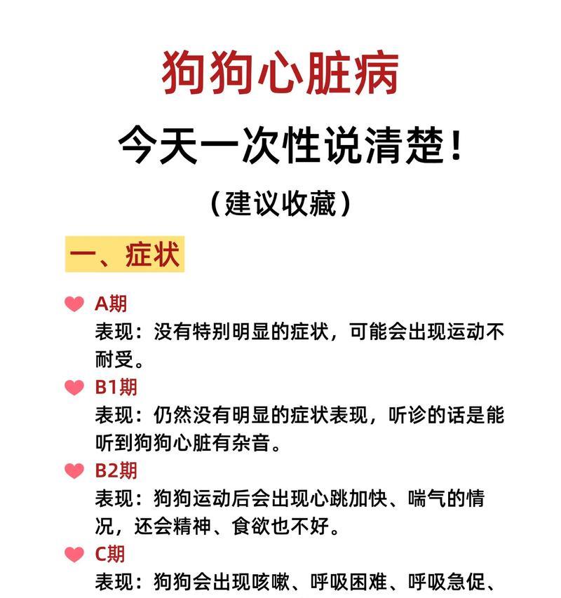 了解狗狗心脏病的症状及预防措施（揭示狗狗心脏病的早期迹象，宠物健康必备知识）