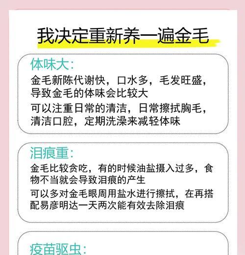 如何科学合理地为金毛每顿定量饮食（以什么标准来确定金毛每顿吃多少才合适？）