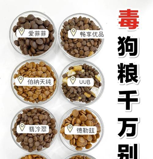 如何选择适合狗狗的狗粮？（挑选狗粮需注意的关键因素及评估方法）