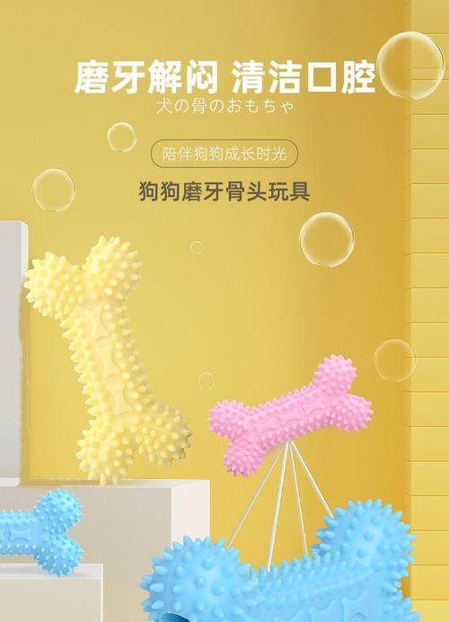小比熊磨牙需要多长时间？（探究小比熊磨牙的过程和时间）