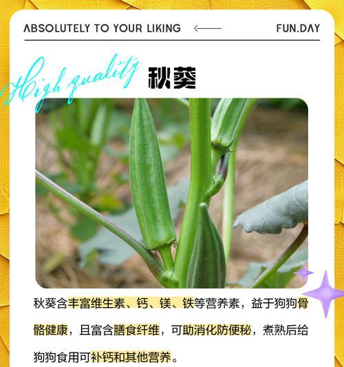 给狗补钙的食物选择（了解哪些食物可以为狗提供足够的钙质）