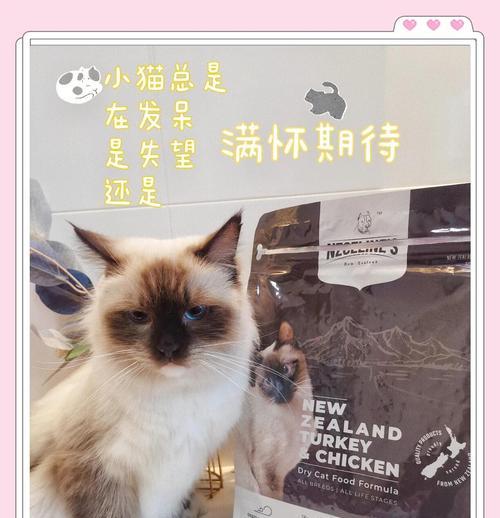 一碗猫粮能让猫咪维持多久的饱食感？（猫粮耗时探究与关键因素分析）