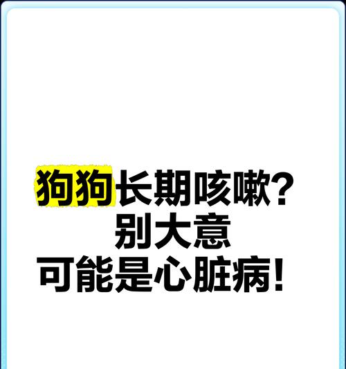 狗狗为什么会整天咳嗽？（探究狗狗咳嗽的原因和应对方法）