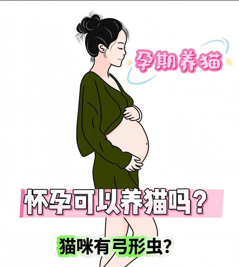 如何检查猫的妊娠期长短？（了解猫的怀孕周期，关注身体变化）