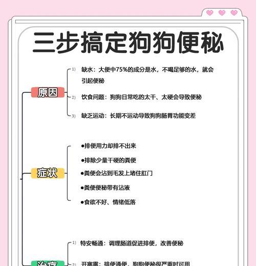 解决狗狗便便臭的方法（清洁、饮食、训练，助你远离狗狗便便臭）