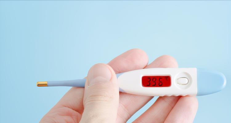 狗狗发烧了怎么办？（了解狗狗发烧的症状及应对措施）