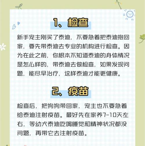 泰迪犬的寿命有多长？（探讨泰迪犬寿命长短的因素及如何延长其寿命）