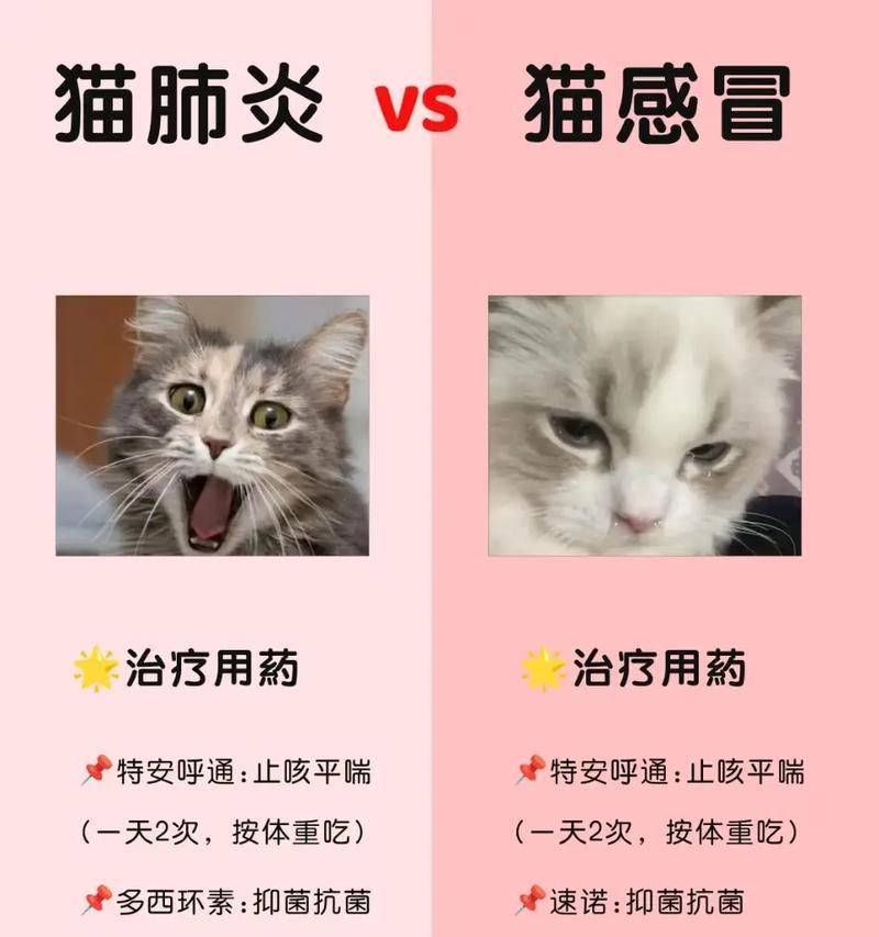 猫咪感冒（帮助猫咪摆脱感冒的困扰，让它们重获健康与活力。）