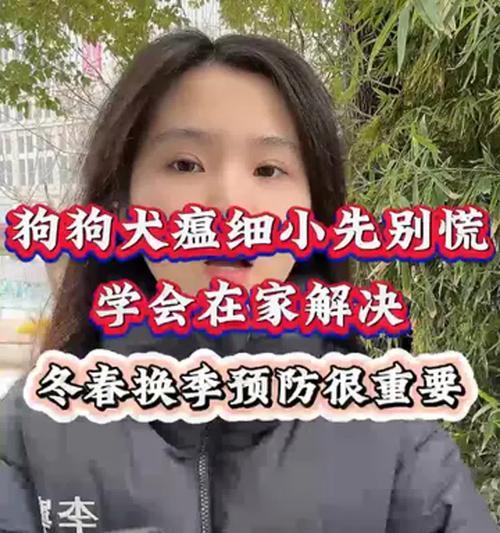 犬瘟和细小的症状及治疗分析（揭秘犬瘟和细小的临床表现，了解科学治疗方式）