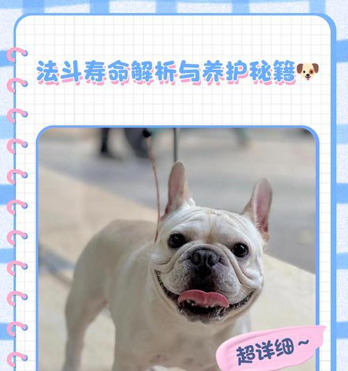如何延长法斗的寿命？（探索法斗的平均寿命和延长寿命的方法）
