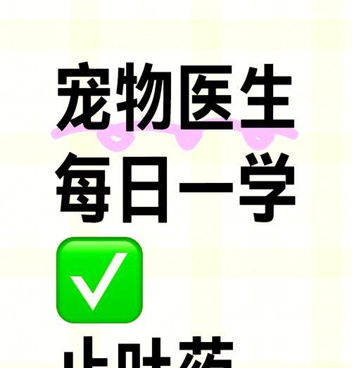 狗狗呕吐时使用两种药物有更好效果吗？（以止吐药为主要药物的注意事项）