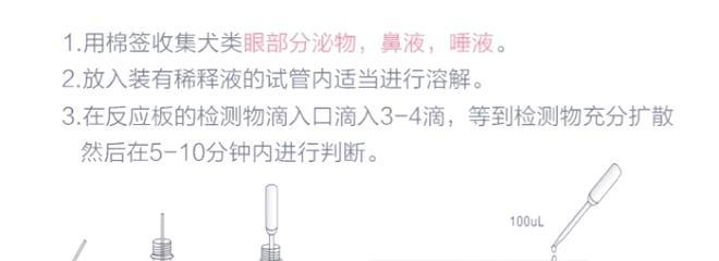 犬瘟热病毒（区分犬瘟和普通感冒，保护你的宠物健康）